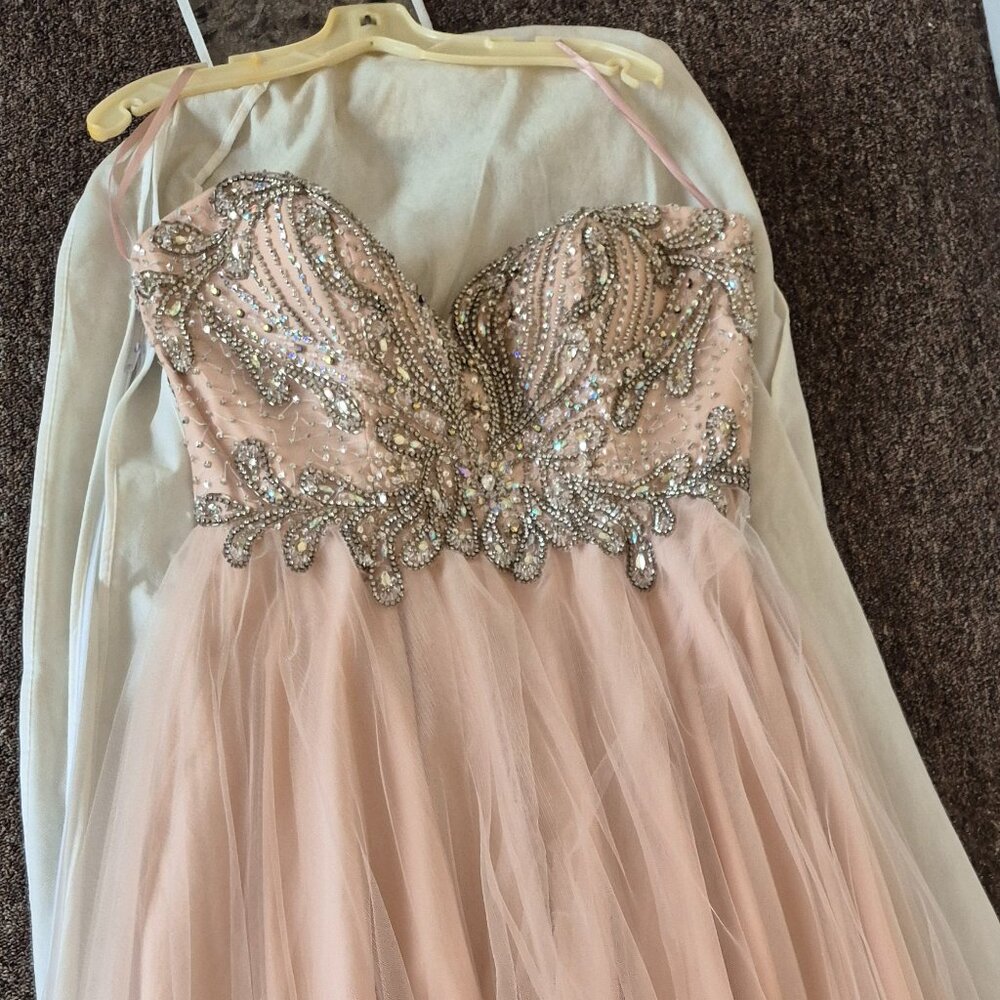 Prom/Bridal Gown